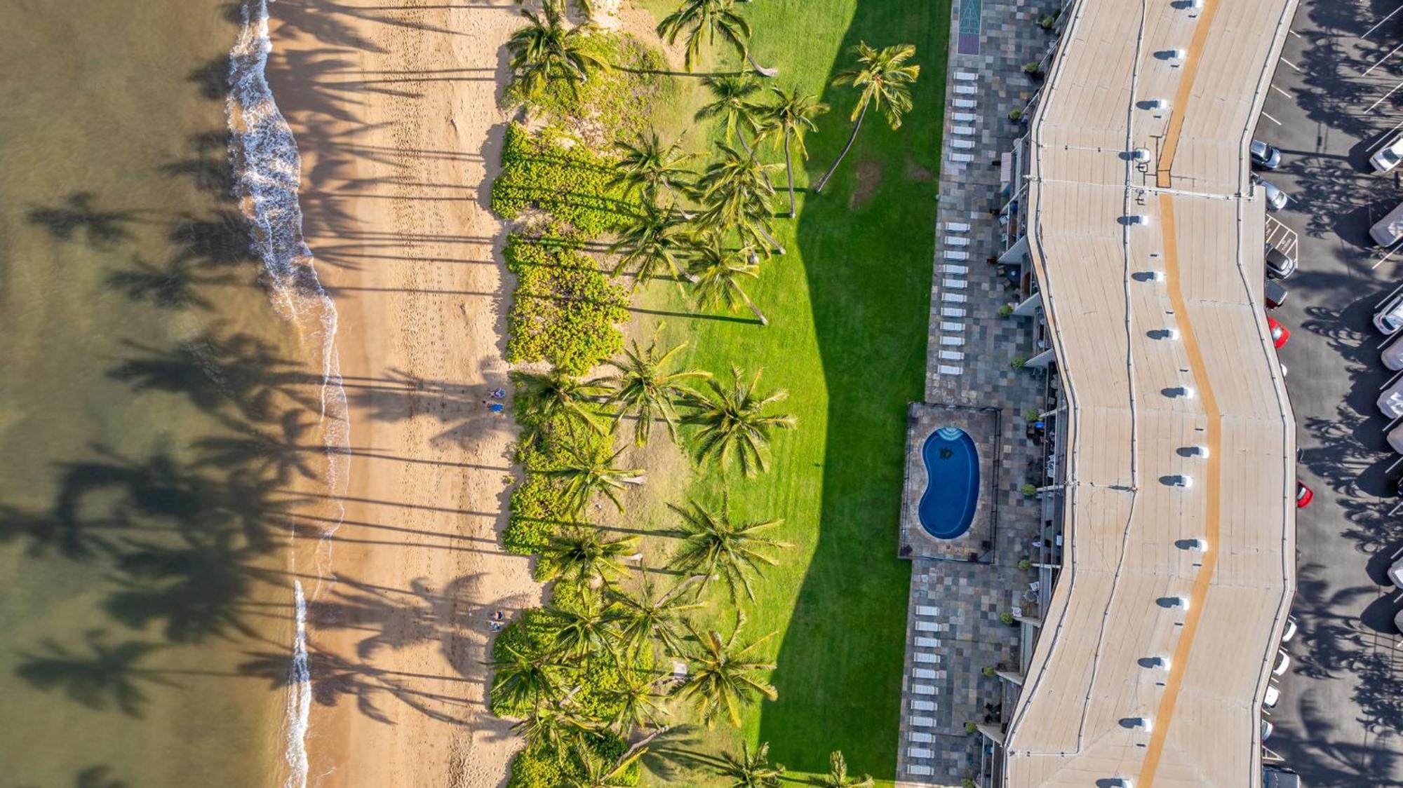 Hale Kai O'Kihei 317公寓 外观 照片