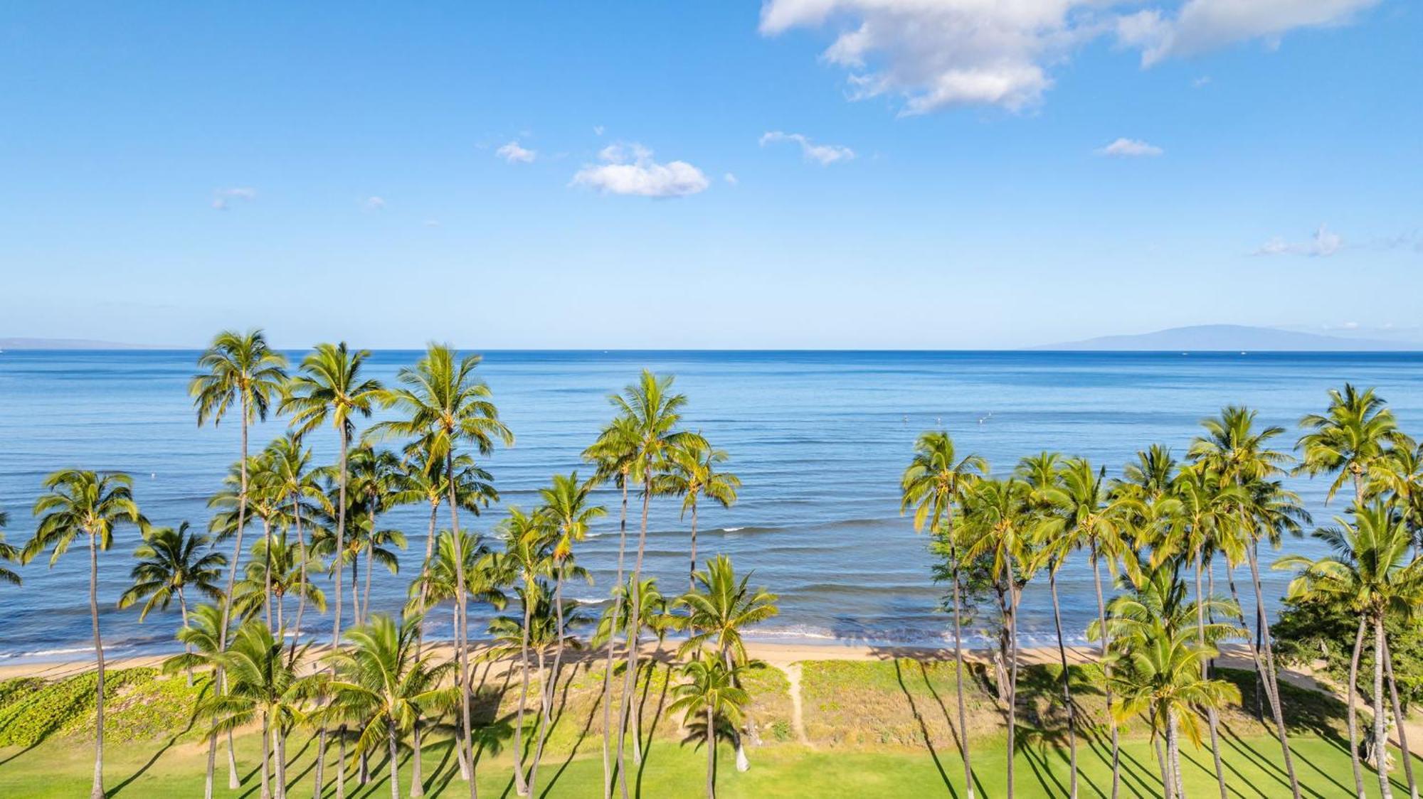 Hale Kai O'Kihei 317公寓 外观 照片