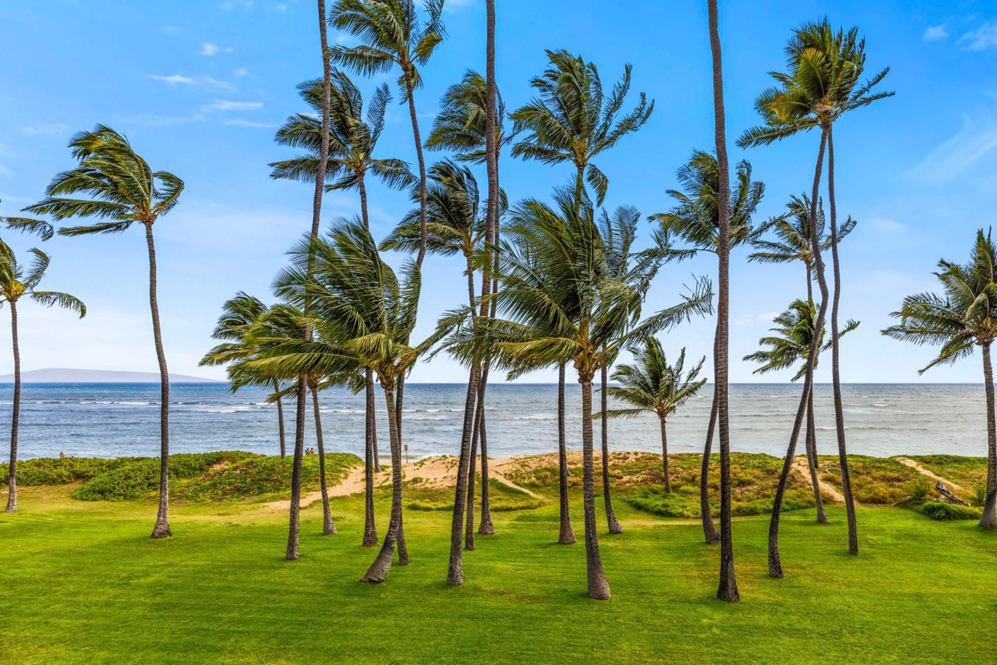 Hale Kai O'Kihei 317公寓 外观 照片
